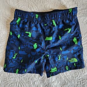 The North Face Kids' Blue and Green Graphic Swim Trunks